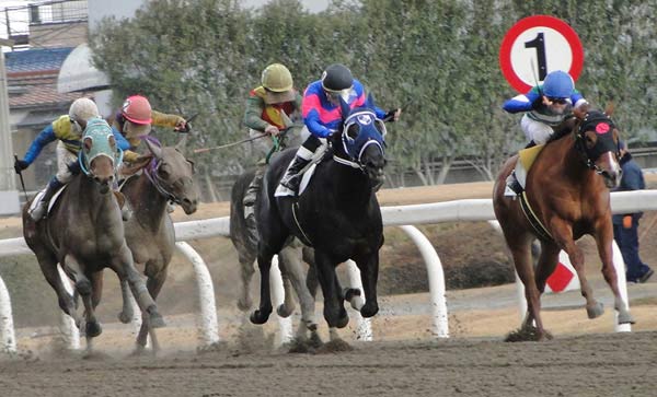 地方競馬 ダート