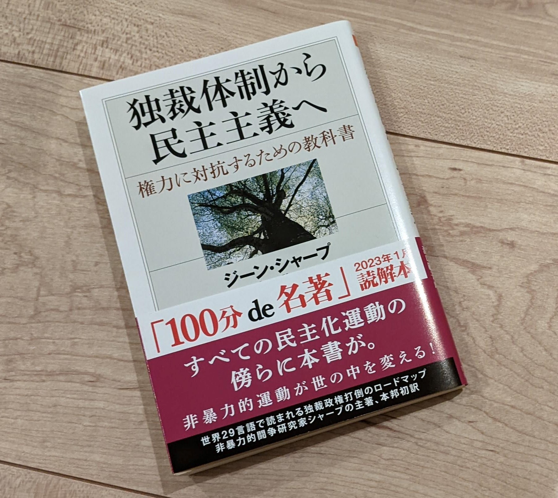 独裁体制から民主主義へ―権力に対抗するための教科書