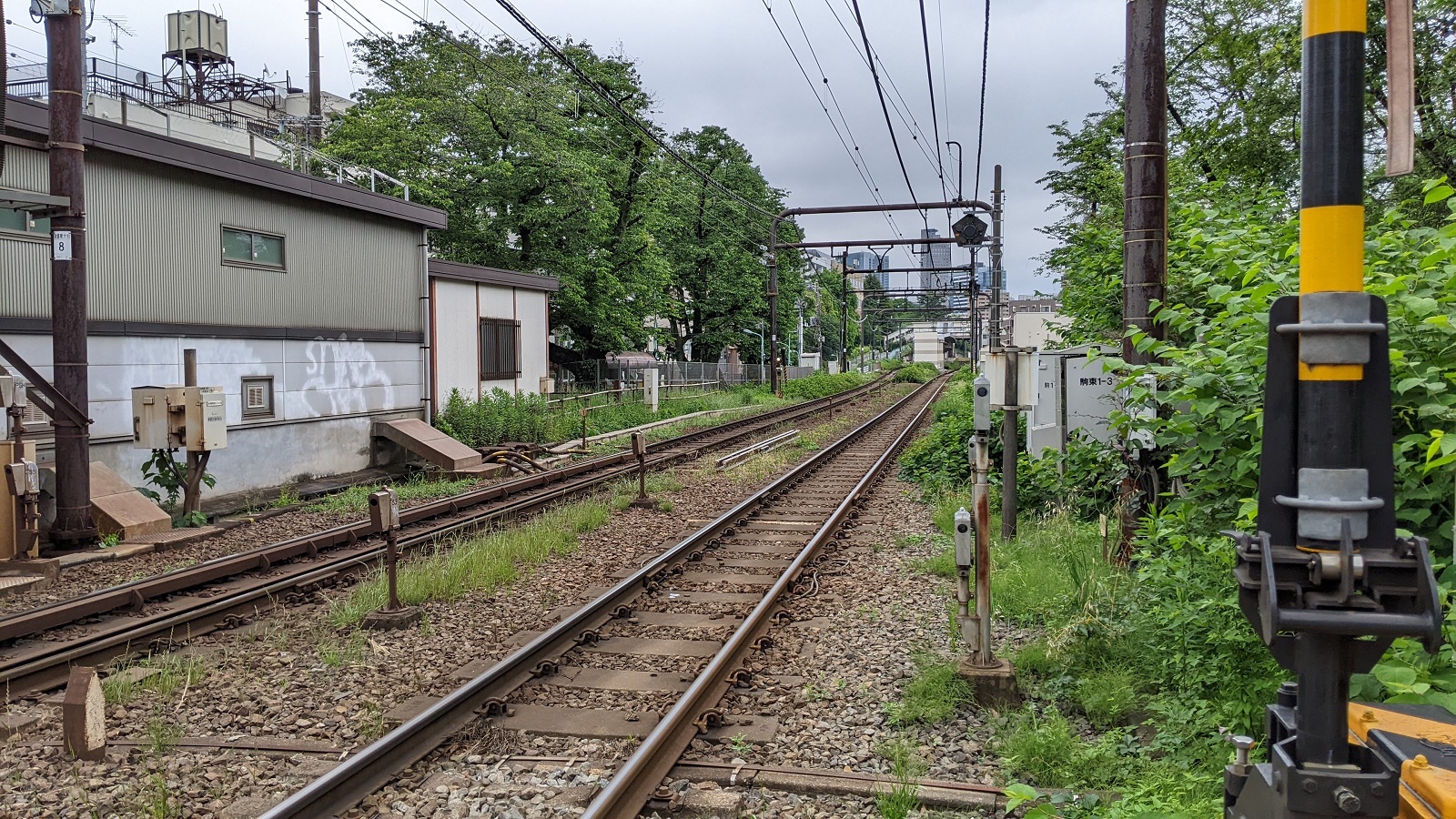 元駒場駅西の踏切から駅っぽい感じの建物を望む