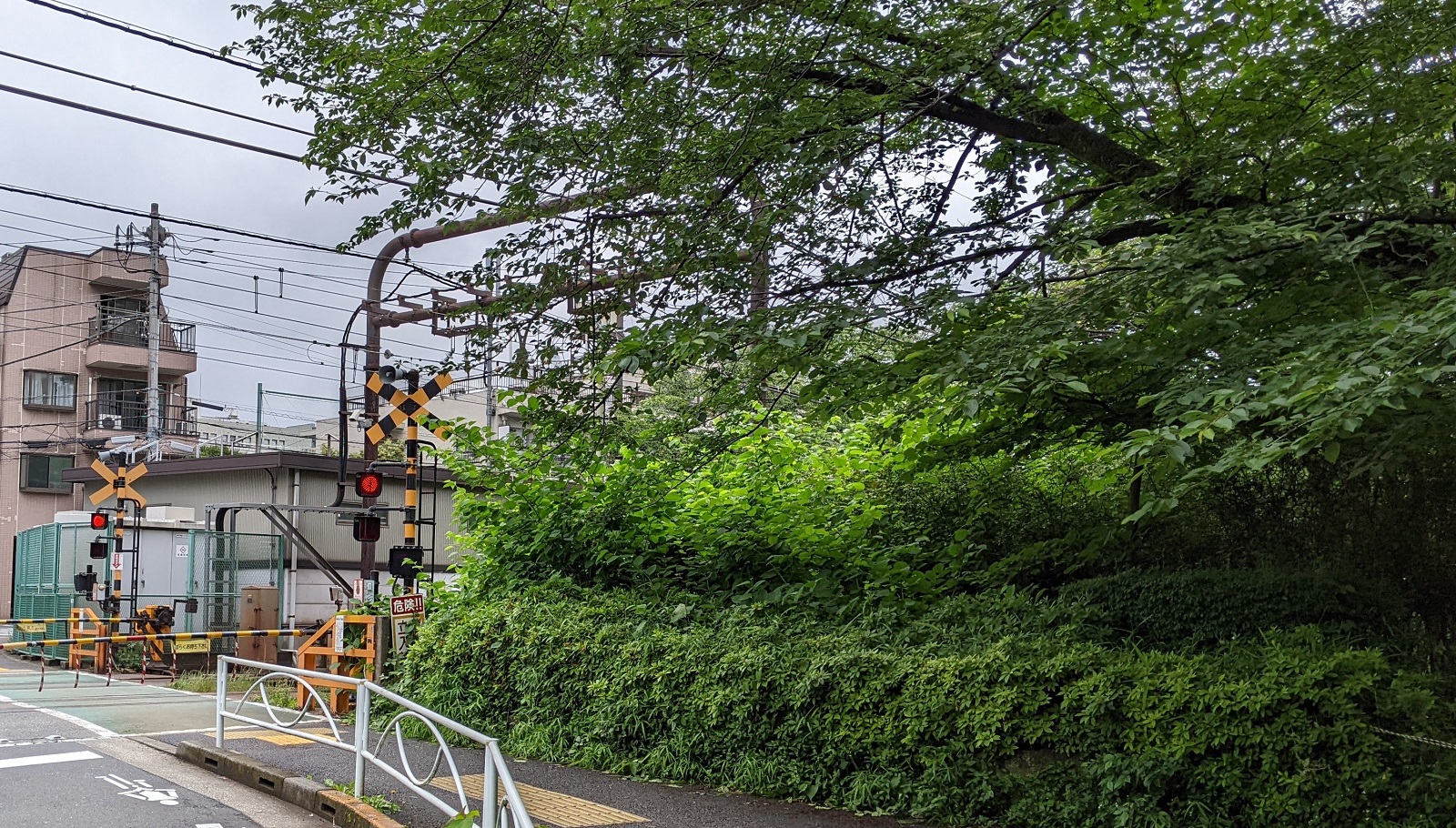 元駒場駅西の踏切を南側に渡って駅っぽい感じの建物を遠くから