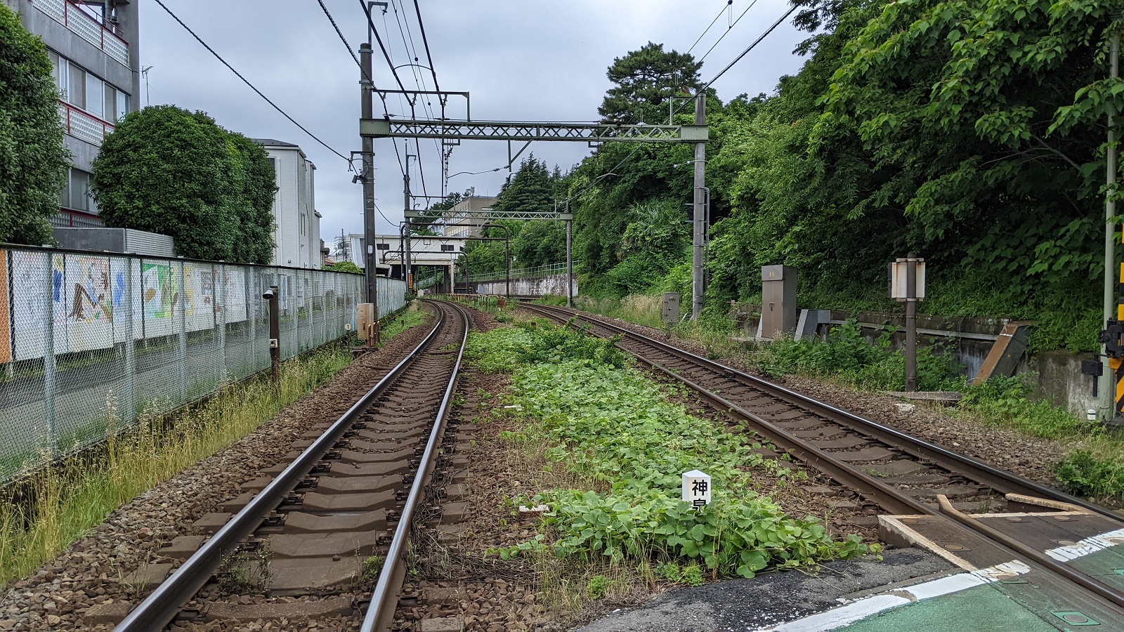 東大前駅東側踏切より